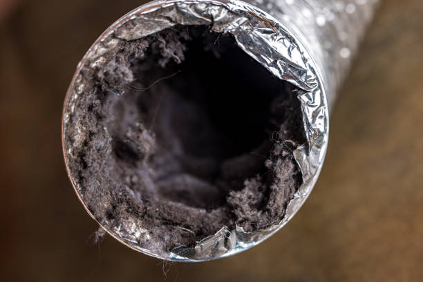 Best Commercial Air Duct Cleaning  in Reno, TX